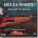 Delta Wires